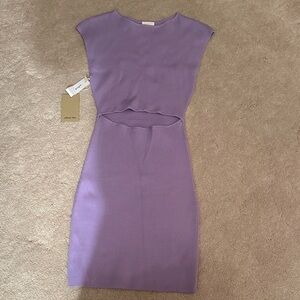 Aritzia Lavender Midi Dress